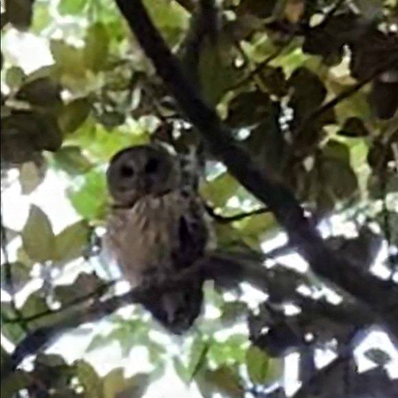 Kelly 🌷TOP RATE SELLER - Picture 11 of 13